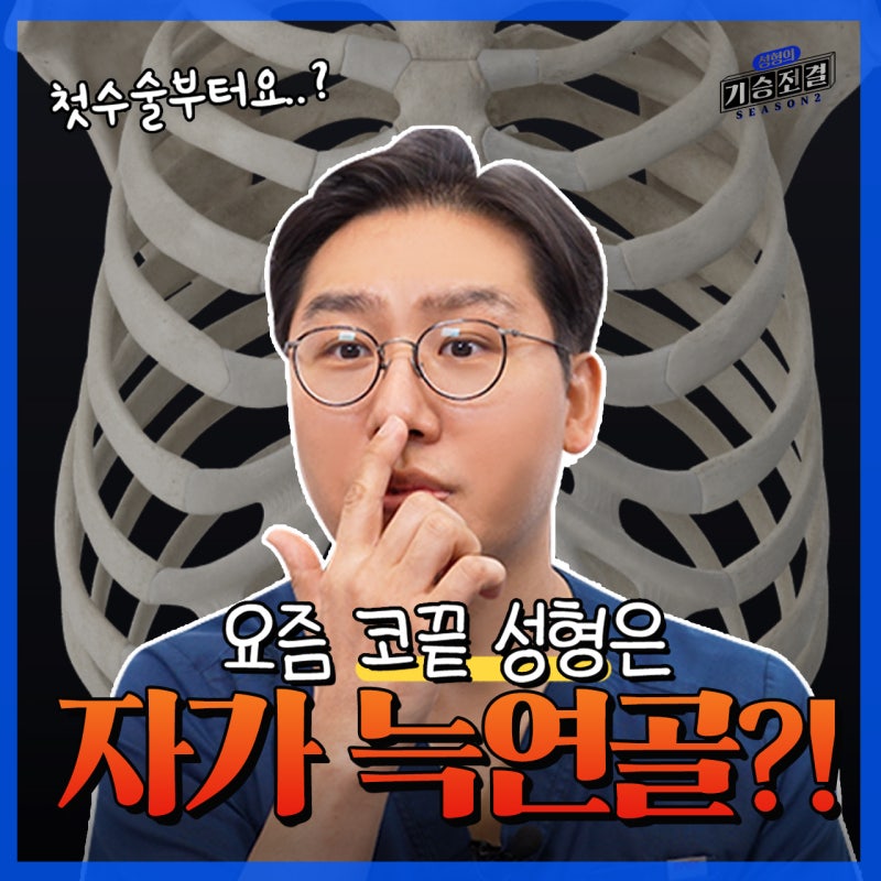 코끝 성형 지지대는 이렇게 고르세요!